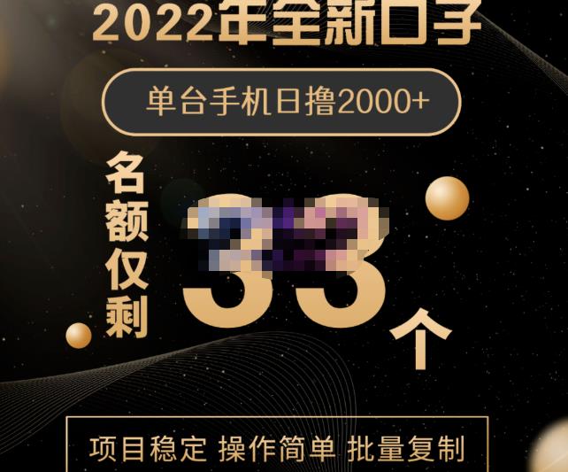 2022年全新口子，手机批量搬砖玩法，一部手机日撸2000+-云创网