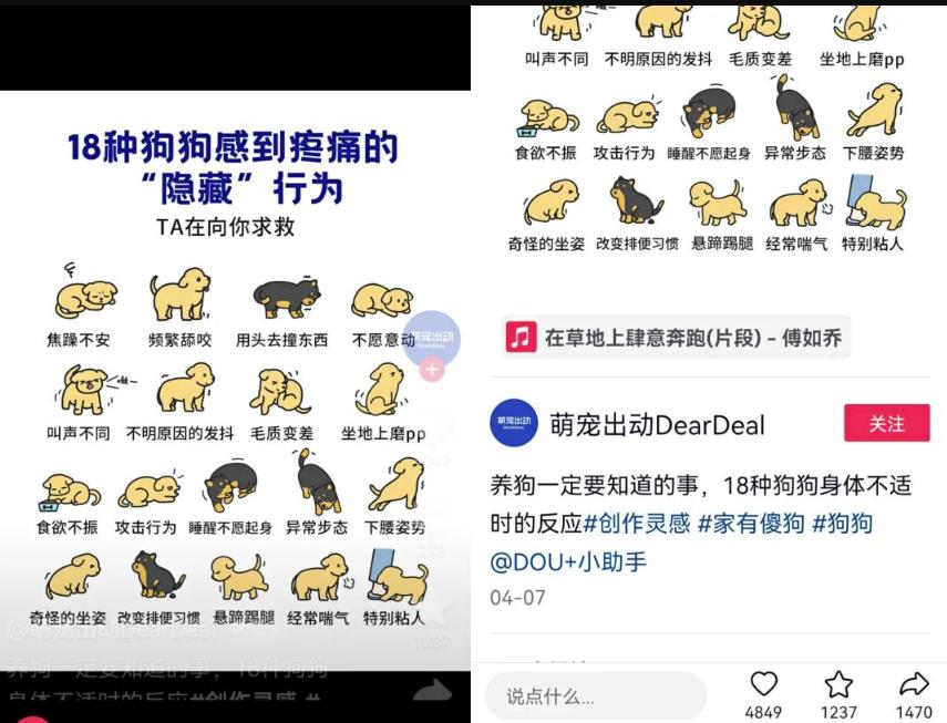 图片[3]-抖音种草号项目拆解：图文种草号实操教程分享，小白看完直接上手！-云创网