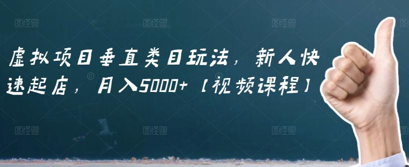 虚拟项目垂直类目玩法，新人快速起店，月入5000+【视频课程】-云创网