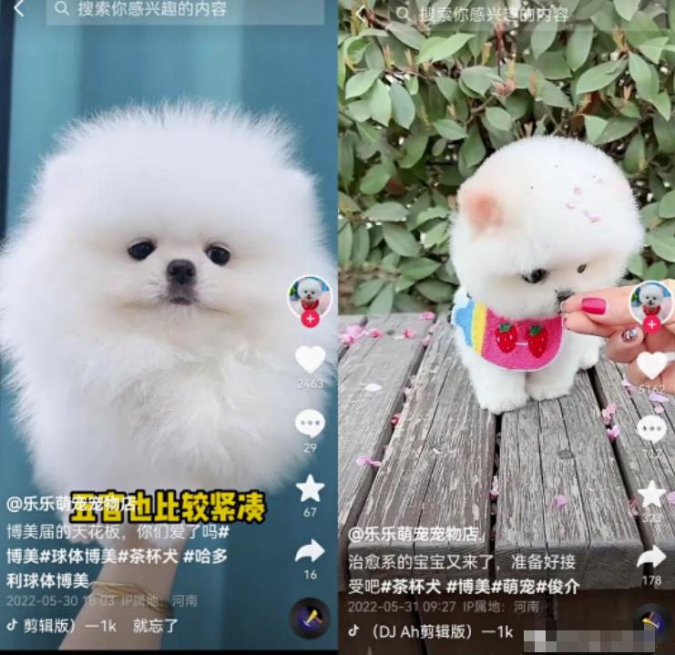 无脑短视频搬砖赚钱思路，轻松月入1W+，在家即可躺赚！-云创网