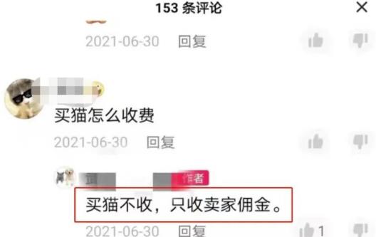 图片[2]-抖音热门同城副业项目，无脑操作一天500+-云创网