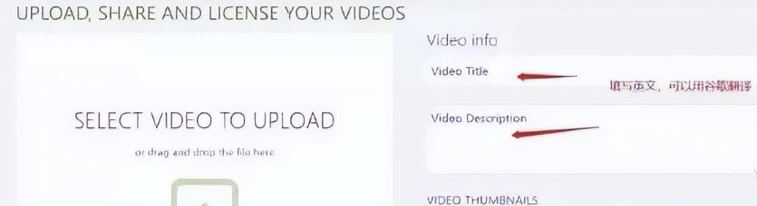图片[4]-国外网赚项目，无脑搬砖发视频，一个视频10美金-云创网