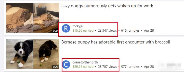 图片[5]-国外网赚项目，无脑搬砖发视频，一个视频10美金-云创网