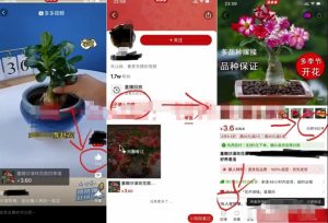 蓝海项目,详细拆解日出千单,日入3000的核心玩法-云创网