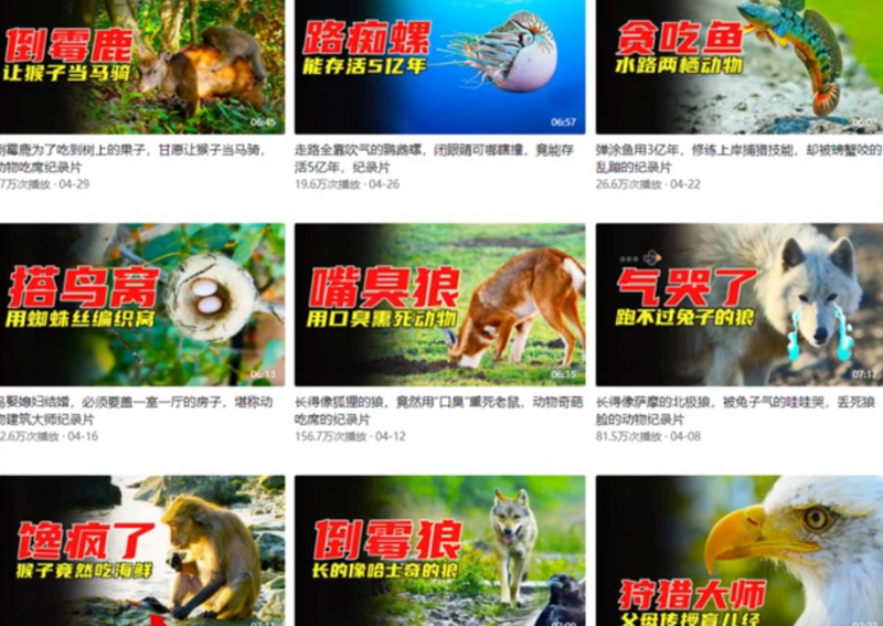 b5eda0a74558a342cf659187f06f746f-176