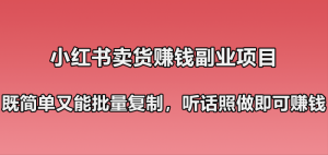 小红书卖货赚钱副业笔记:既简单又能批量复制,只要听话照做就可以赚钱!-云创网