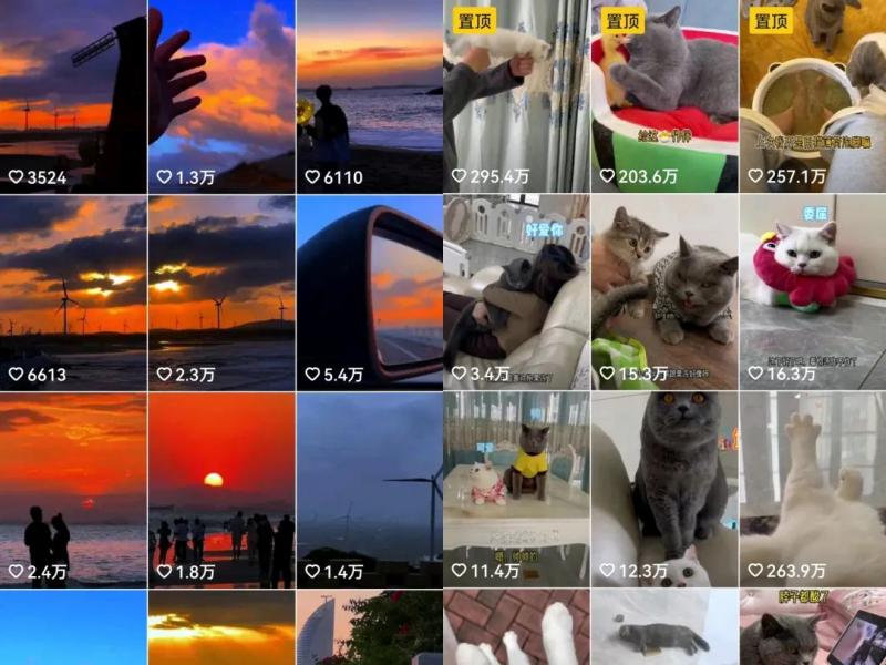 b5eda0a74558a342cf659187f06f746f-66