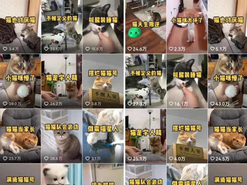 b5eda0a74558a342cf659187f06f746f-68