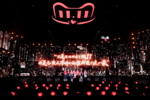 今年双十一，低调“落幕”-云创网