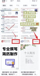 虚拟服务类项目,操作简单,日赚500+!-云创网