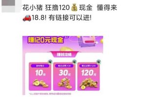 花小猪白撸120元,多号多撸,入口有人收费18.8,《免费分享》-云创网