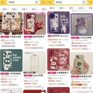 低成本副业卖手机壳项目思路，做的好轻轻松松年入10W，玩法无私分享给你！-云创网