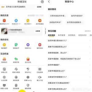 闲鱼爆款宝贝被盗图的解决思路，深入了解项目本质和操作，玩法分享给你-云创网