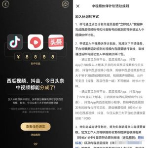 中视频新手避坑指南大解析,教你轻松躲过陷阱-云创网