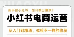 红商学院·小红书电商运营课,新手做小红书如何快速做出爆款,从入门到精通,体验不一样的收货-云创网