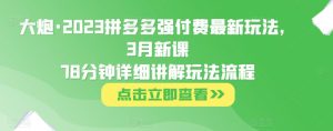 大炮·2023拼多多强付费最新玩法，3月新课​78分钟详细讲解玩法流程-云创网
