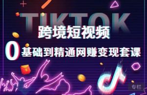 跨境短视频TIKTOK 0基础到精通网赚变现套课,跨境短视频独立站带货变现技巧-云创网