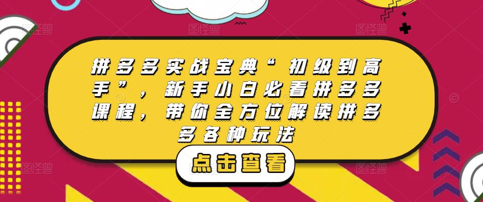 拼多多实战宝典“初级到高手”，新手小白必看拼多多课程，带你全方位解读拼多多各种玩法-云创网