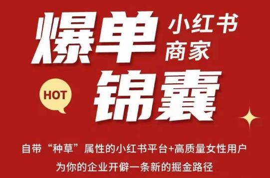 无畏·小红书商家爆单锦囊，掌握小红书各大规则，快速精准抢占行业和市场-云创网