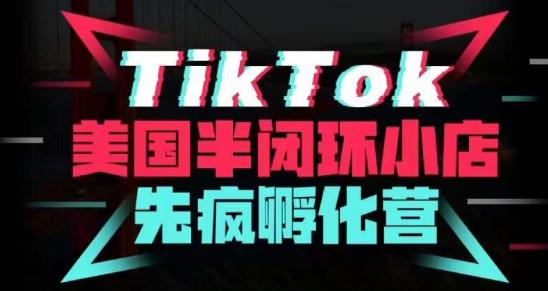 疯人院·TikTok美国半闭环小店孵化营，抢占TikTok美国蓝海市场，开店、运营、带货、投流全实操-云创网