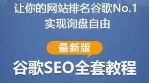 谷歌SEO实战教程:如何让你的网站在谷歌排名第一,内容从入门到高阶,适合个人及团队-云创网