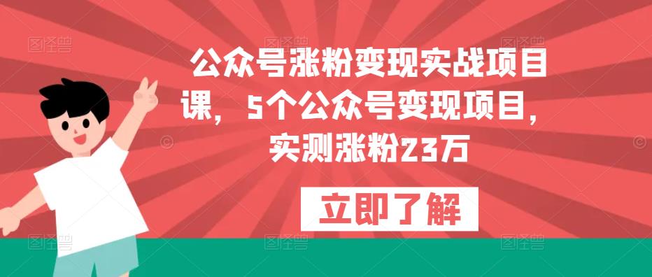 公众号涨粉变现实战项目课，5个公众号变现项目，实测涨粉23万-云创网