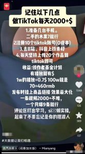 抖音搞流量玩法，1天搞个100-200人，日变现可达500+-云创网