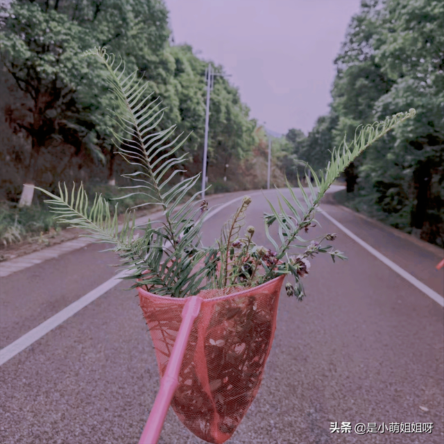 5fa51fb5592c4593b7ff947e81acfb12tplv-tt-large.image_