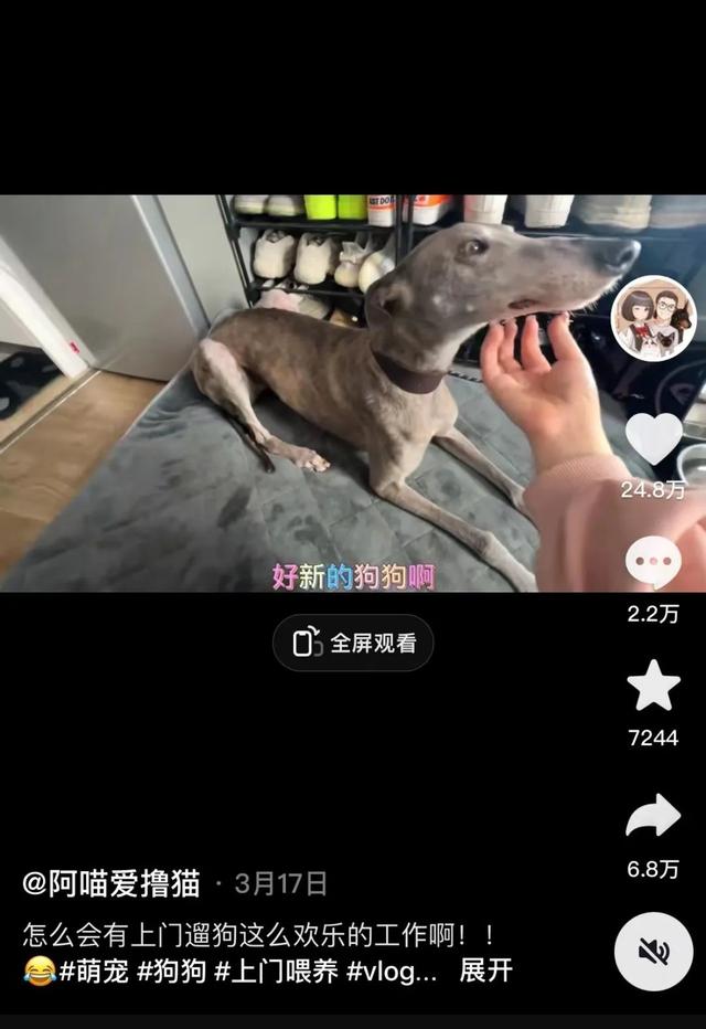 62e37f9593a146ac9d4c67f01f5cabc3tplv-tt-large.image_ 62e37f9593a146ac9d4c67f01f5cabc3tplv-tt-large.image_