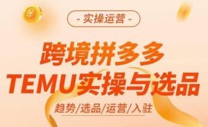 跨境拼多多TEMU实操与选品,掌握平台运营方法技巧,选品避坑12条标准,爆款的底层思路等-云创网