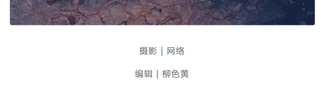 7d0309deff154e649354bf87baa0975ctplv-tt-large.image_ 7d0309deff154e649354bf87baa0975ctplv-tt-large.image_