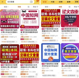 刚需市场“论文查重”副业思路,掌握方法轻松月入过万,玩法无私分享给你-云创网