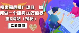 搜索霸屏推广项目，如何做一个能卖10万的权重6网站（揭秘）-云创网
