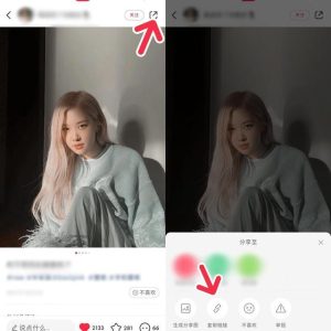 小红书怎么保存无水印图片,小红书怎么保存无水印视频?-云创网
