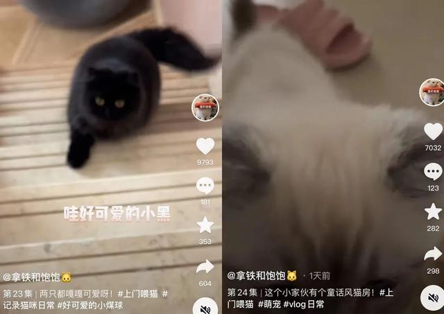 e8c74dbcd9584a4d88104915be33b43btplv-tt-large.image_ e8c74dbcd9584a4d88104915be33b43btplv-tt-large.image_