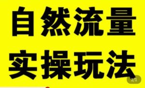 拼多多自然流量天花板,拼多多自然流的实操玩法,自然流量是怎么来的,如何开车带来自然流等知识-云创网