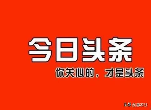 2187397d47274ba9afb5ed073de70742noop.image_