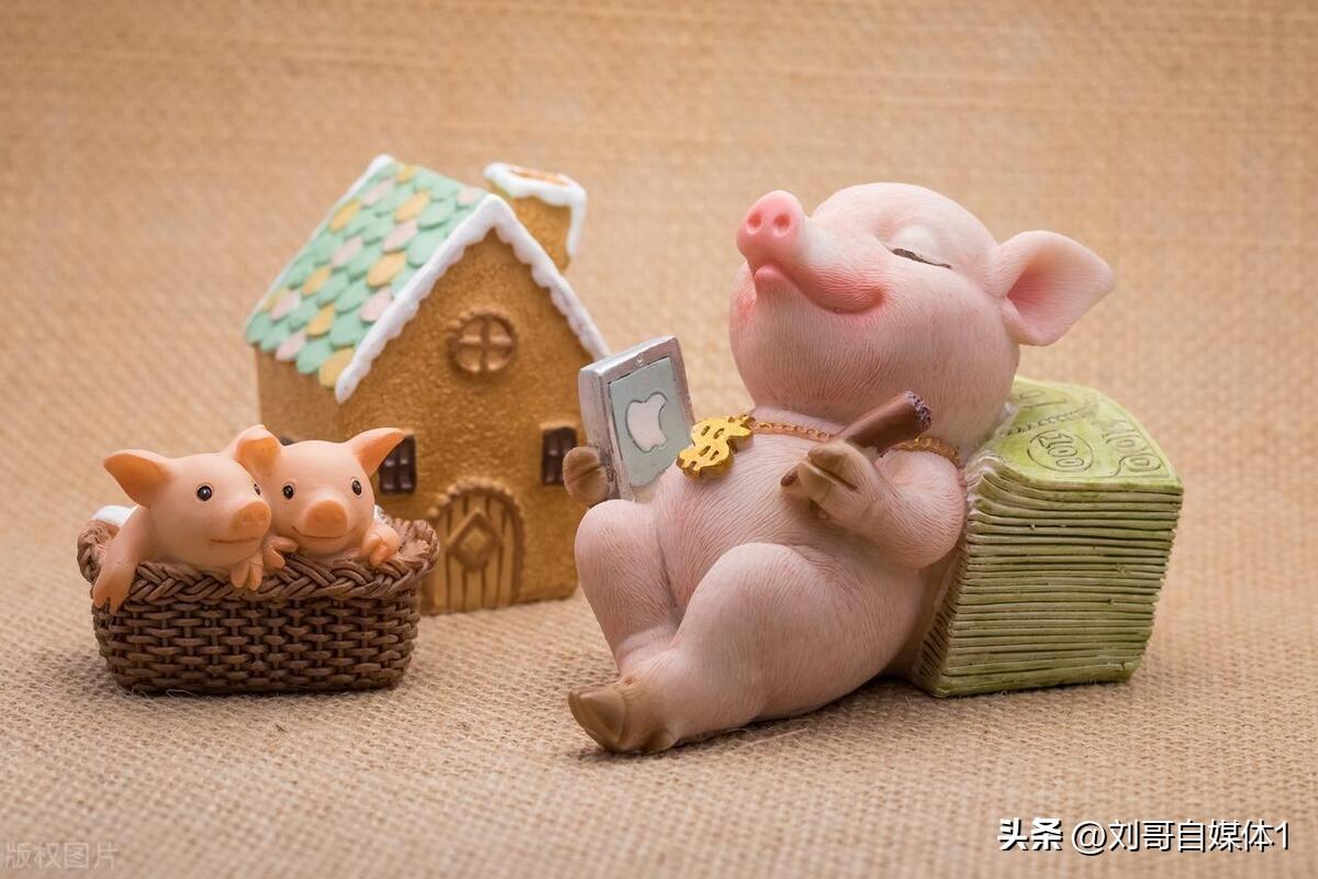 2417f41a61264f56a7ec76e14a60c9b2noop.image_