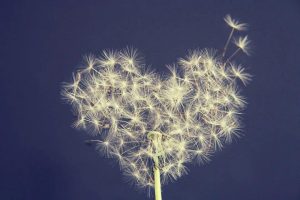自媒体号怎么赚钱最快,自媒体怎么做才能赚钱?-云创网