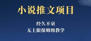 经久不衰的小说推文项目，单号月5-8k，保姆级教程，纯小白都能操作-云创网