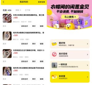 闲鱼曝光不持续?教你通过数据指标解决问题,玩法分享给你哈!-云创网