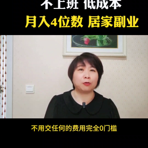 不上班在家怎么赚钱,待业在家做点什么挣钱?-云创网