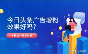 头条快速涨粉技巧是什么?头条涨粉最快的三种方法!-云创网
