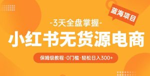 2023【阿本小红书无货源电商训练营】保姆级教程，从0到1，3天全盘掌握，轻松日入300+-云创网