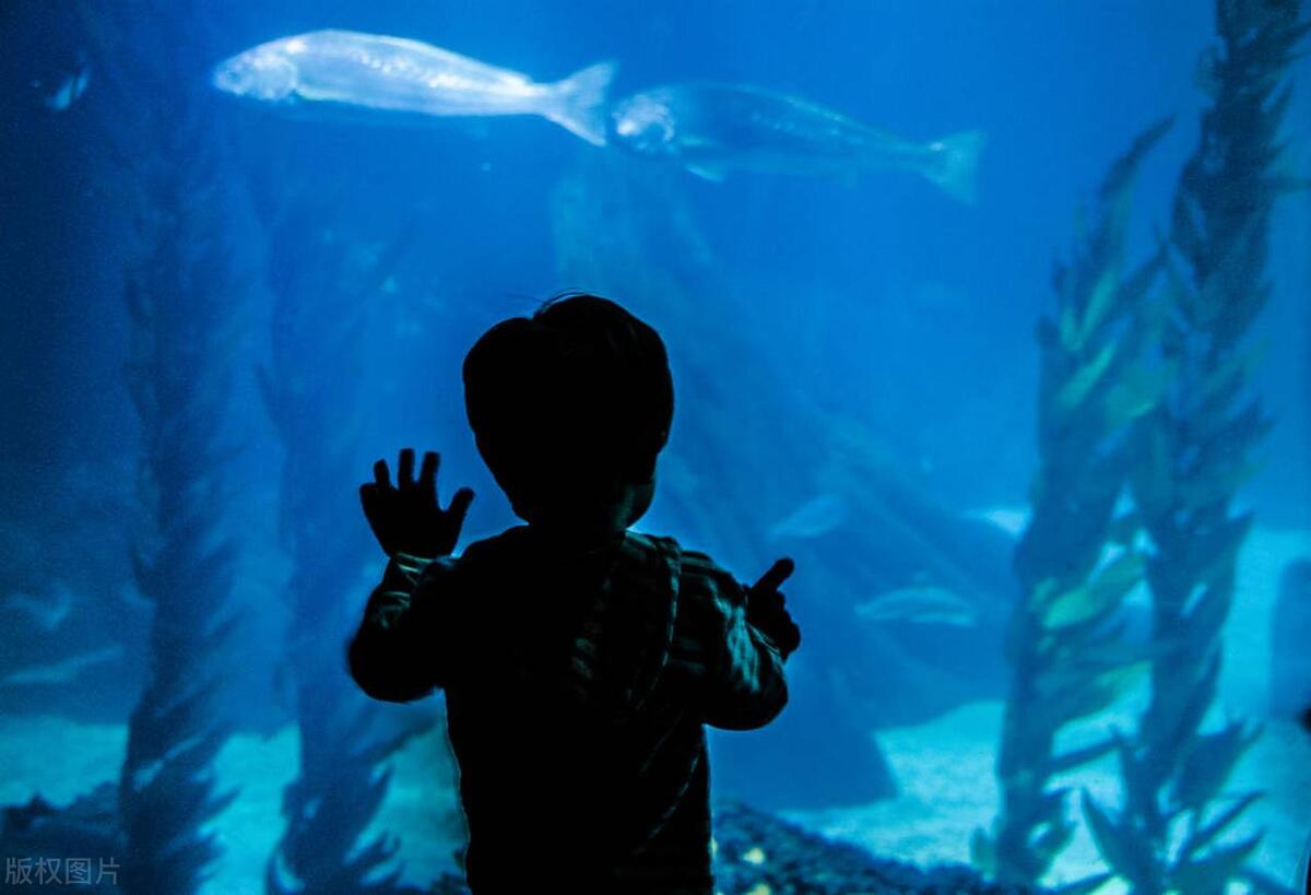 d74cc4ac3b3c441b9c9f347bd2be598fnoop.image_ d74cc4ac3b3c441b9c9f347bd2be598fnoop.image_