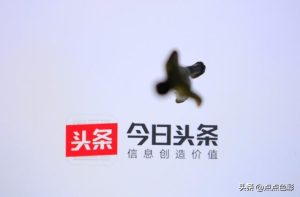 今日头条怎么涨粉100,今日头条如何快速涨粉丝?-云创网