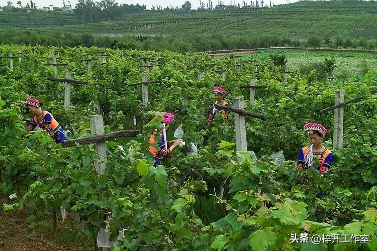 31692fea22e0468c867d46e2bb57af47noop.image_