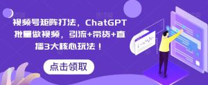 视频号矩阵打法,ChatGPT批量做视频,引流+带货+直播3大核心玩法!-云创网