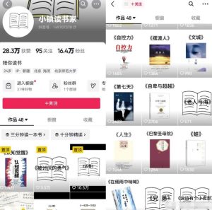 AI做短视频书单号矩阵，涨粉变现轻松搞定，玩法无私分享给你-云创网