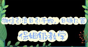 微信互推圈半自动引流方案,矩阵操作日引千人思路【详细视频教程】-云创网